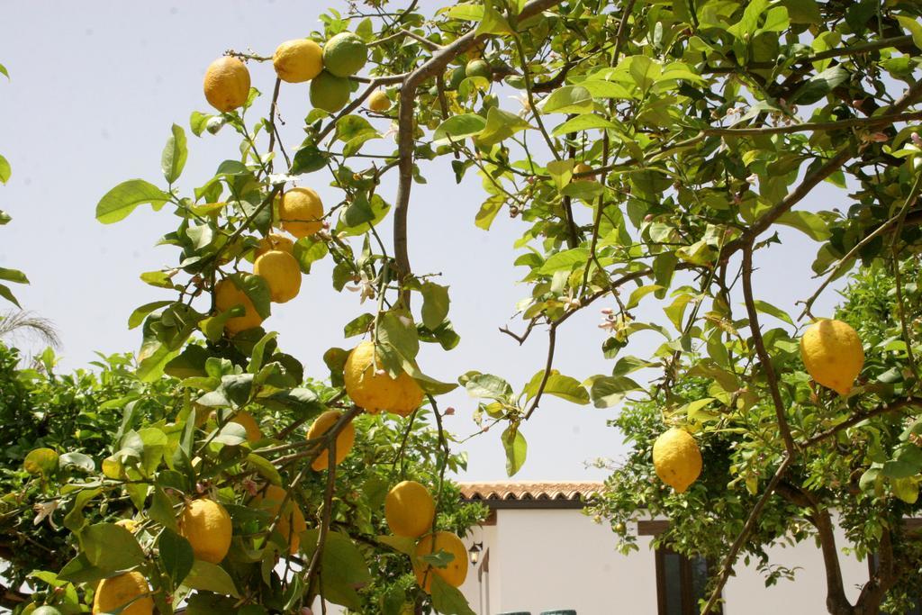 Terra Dei Limoni Hotel Lido di Noto Luaran gambar